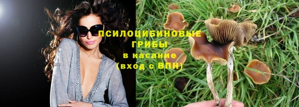 твердый Белокуриха