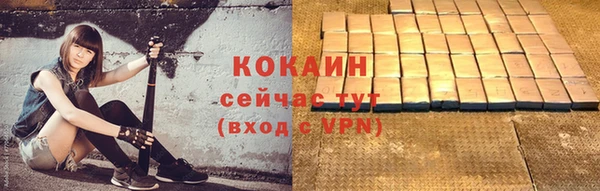 твердый Белокуриха