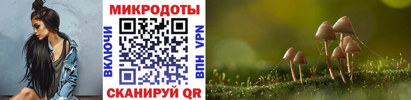Галлюциногенные грибы Cubensis  Уфа 